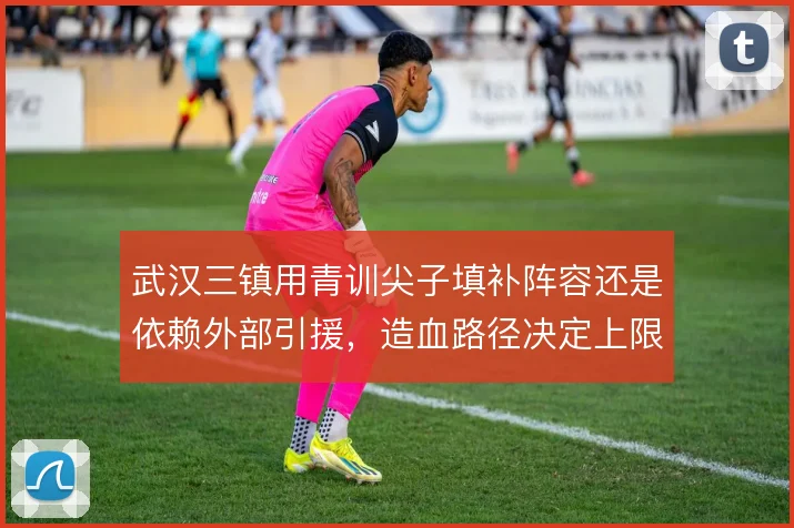 武汉三镇用青训尖子填补阵容还是依赖外部引援，造血路径决定上限