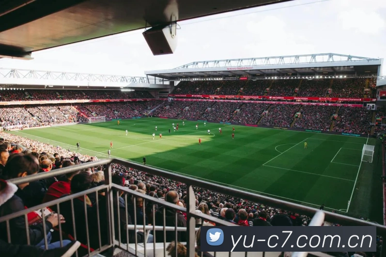 平台与团队介绍